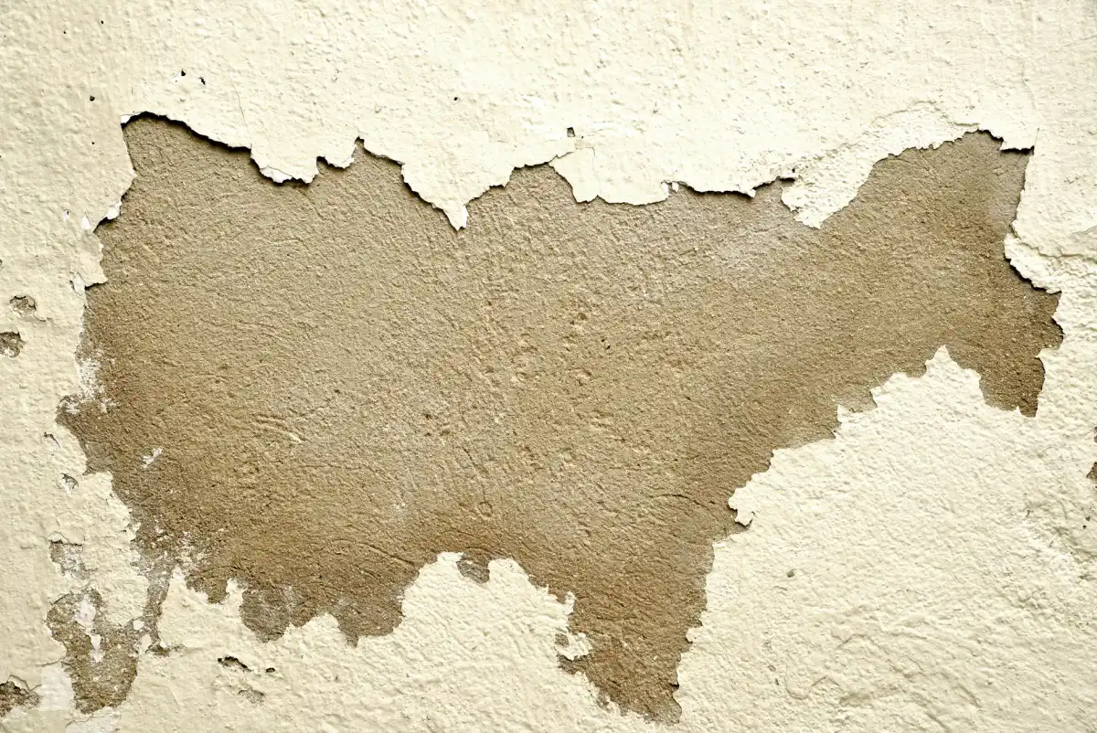 Close-up of a water-damaged wall with peeling paint and compromised drywall